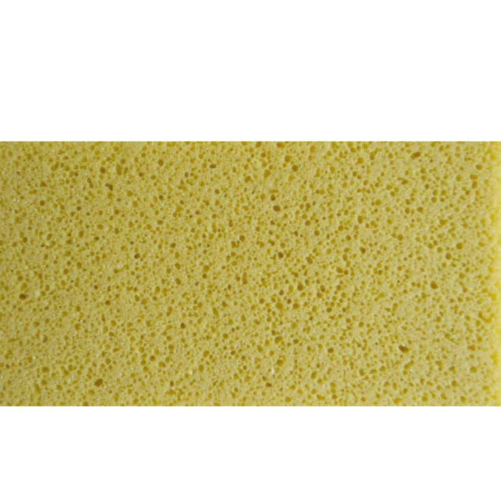 Taloche pointue bois semelle mousse façadier X6