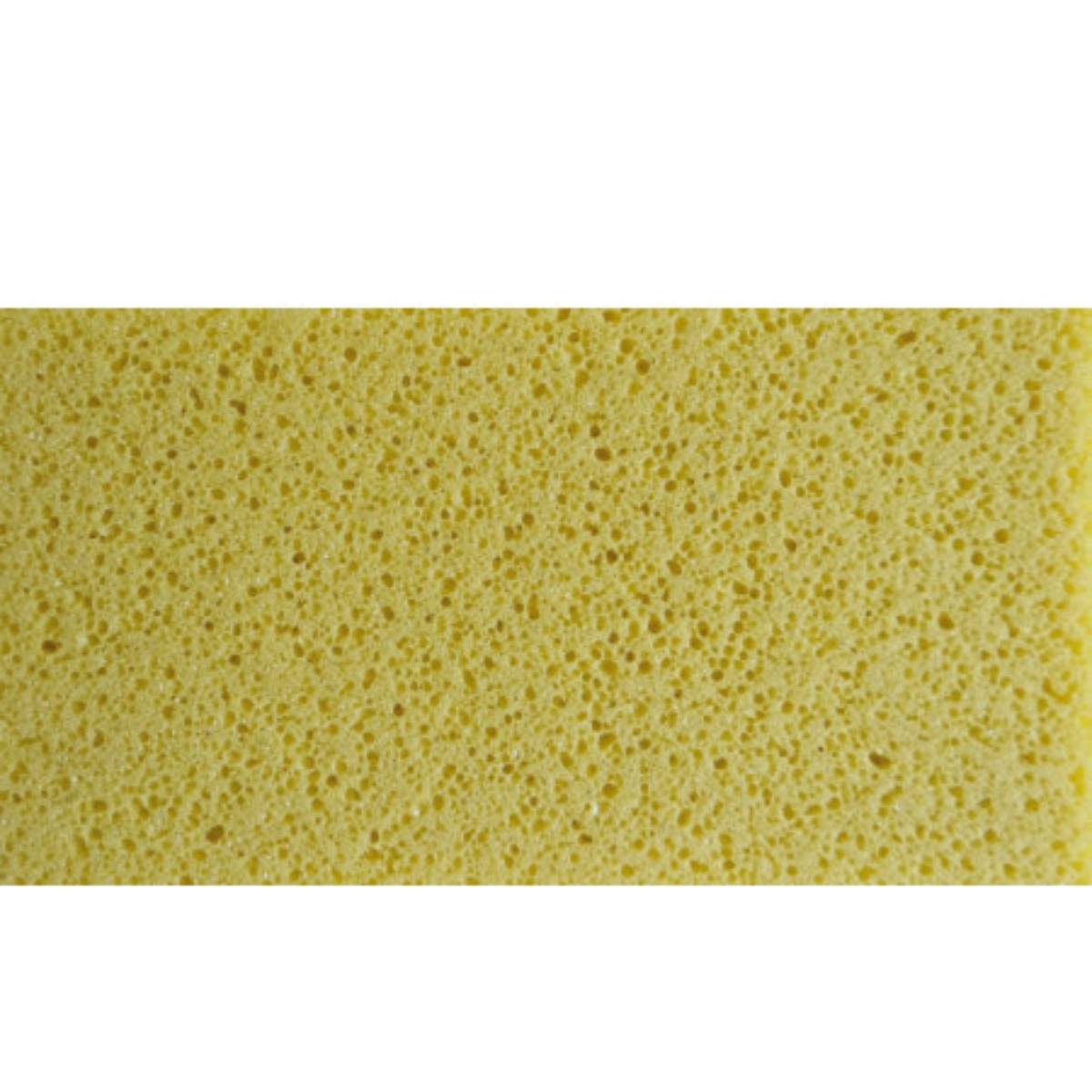 Taloche pointue bois semelle mousse façadier X6
