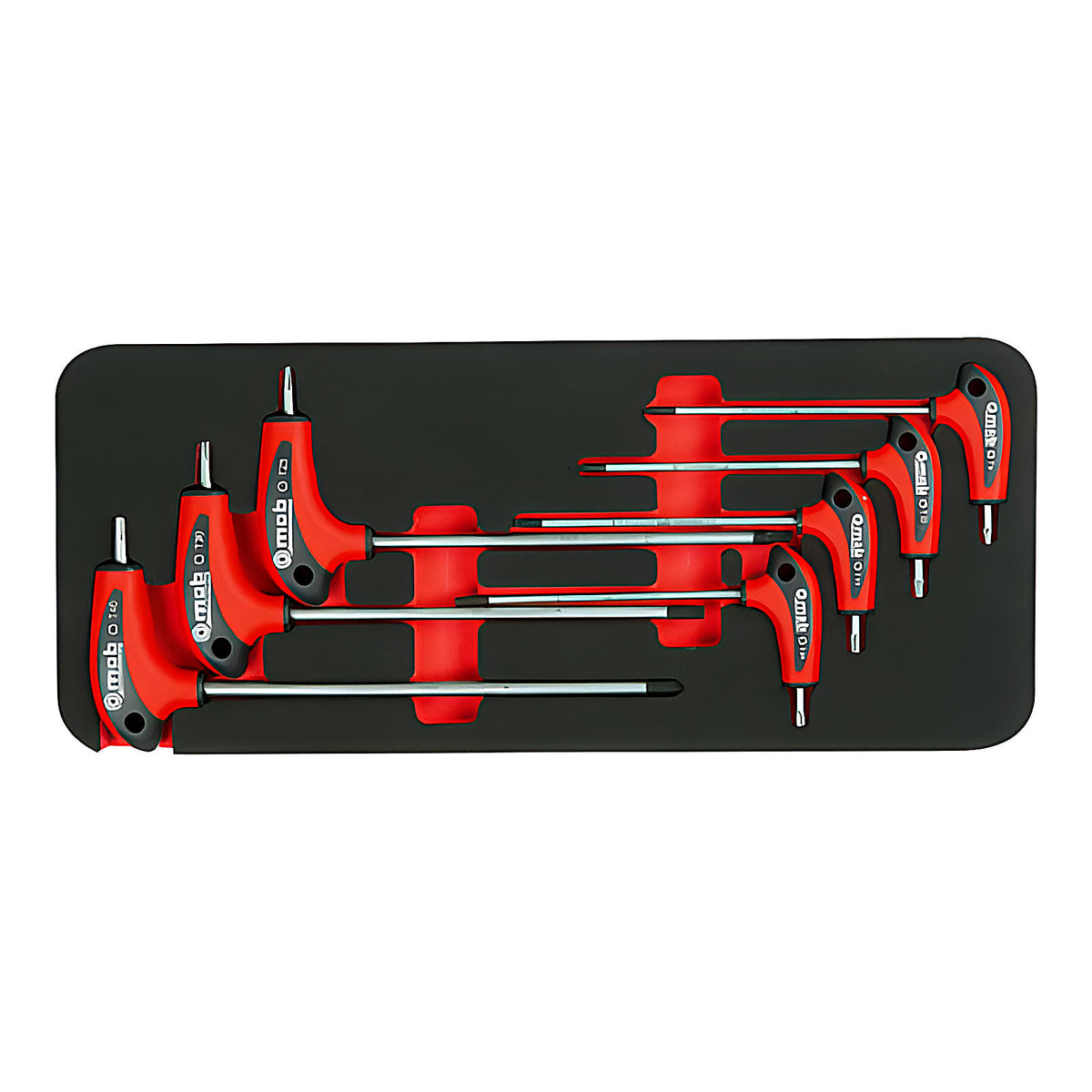 Module mousse 7 clés mâles en T Torx CRV