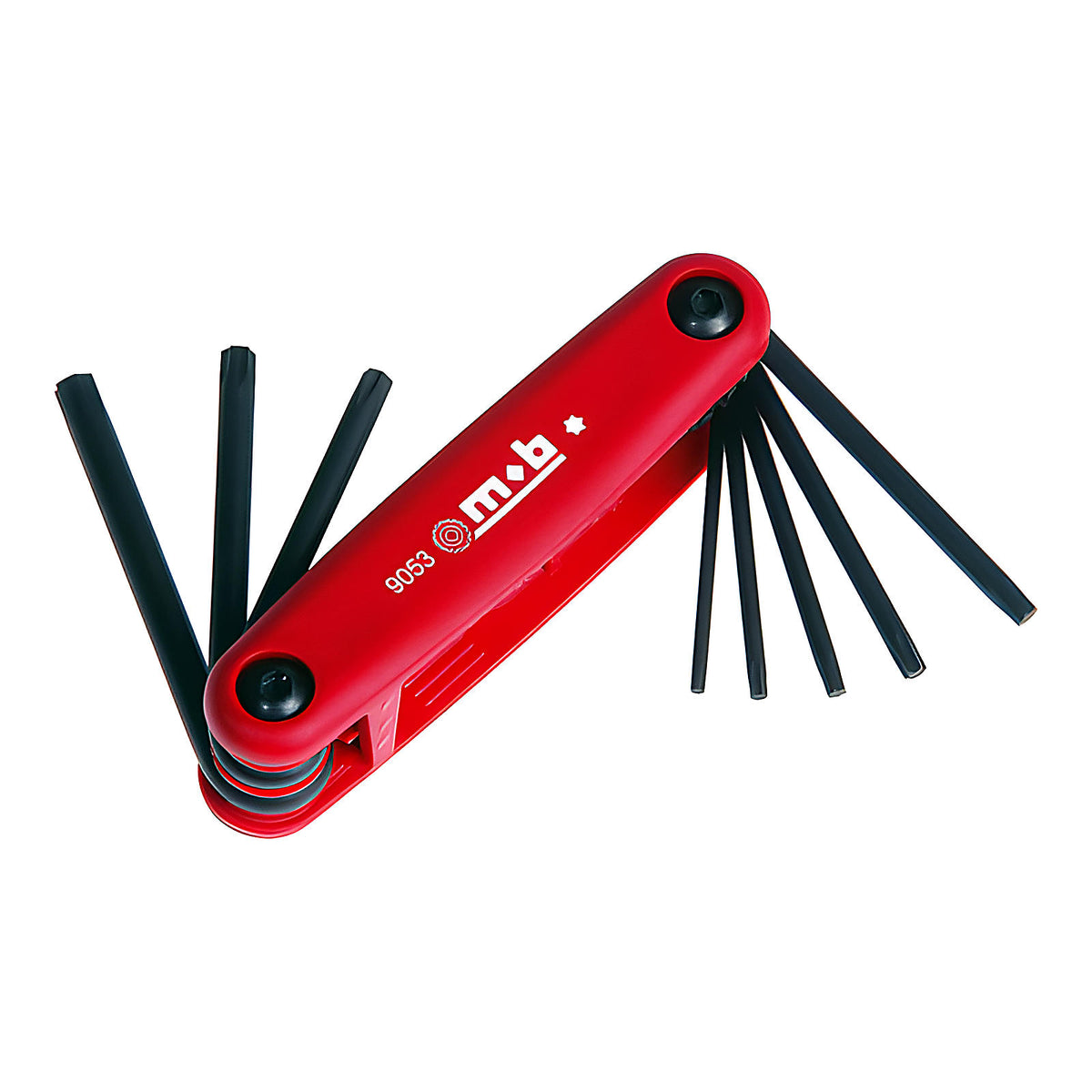 Monture 8 clés Torx Protanium anti-corrosion