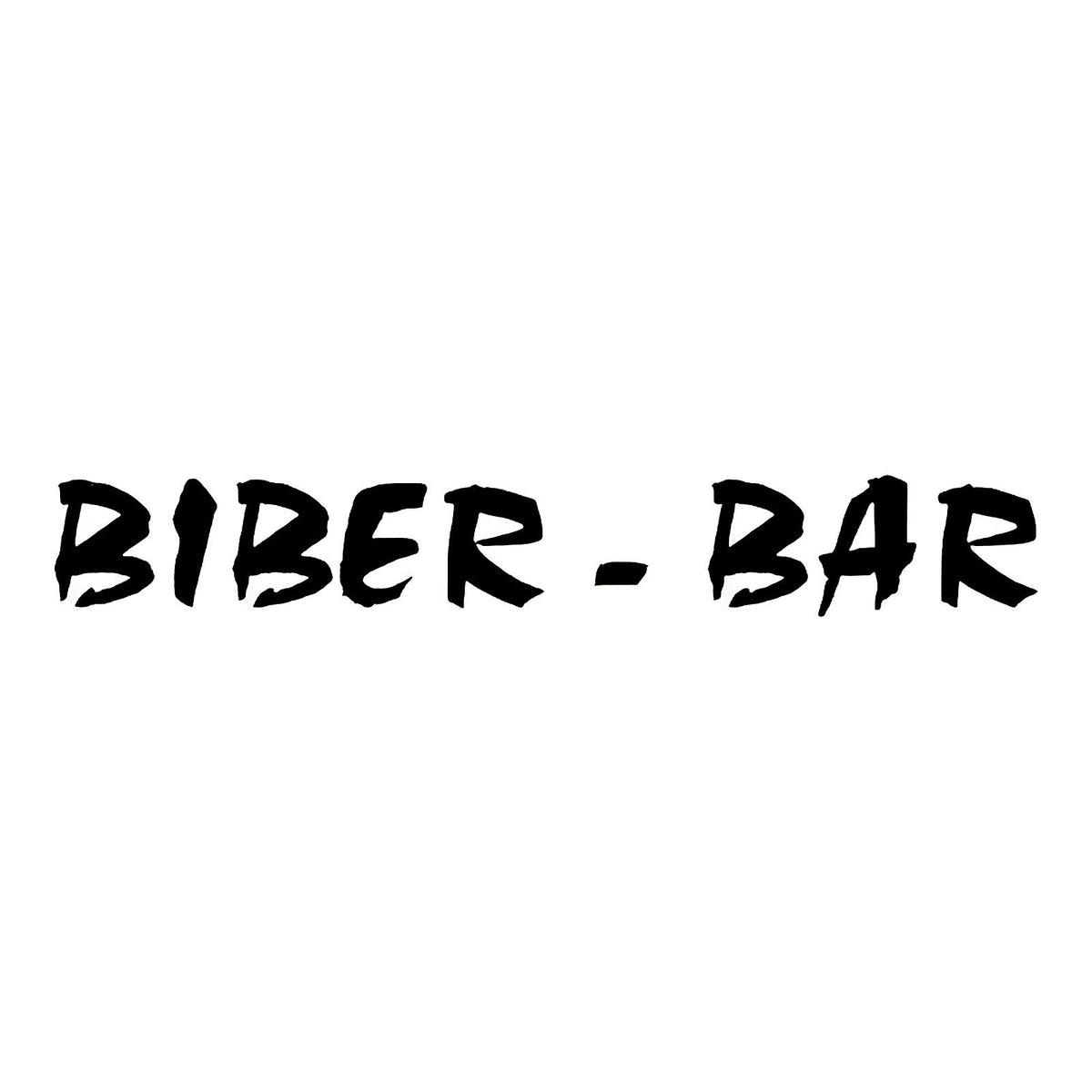 Biber Bar pince à dégauchir et arrache-clou acier manganèse
