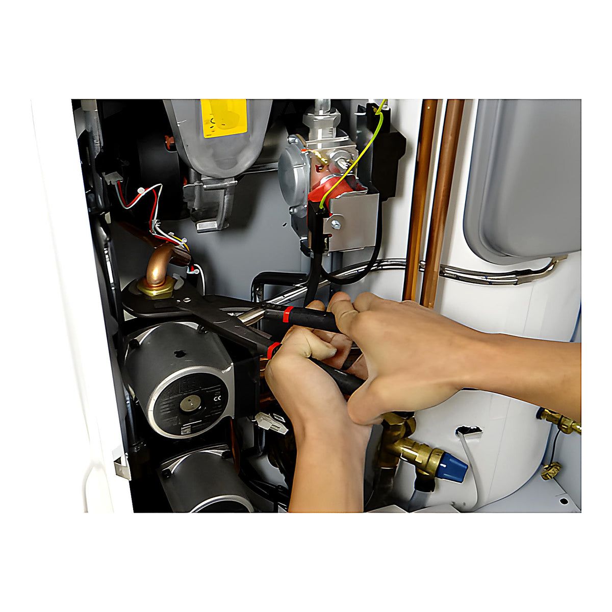 Pince multiprise autobloquante Zoomer sur carte